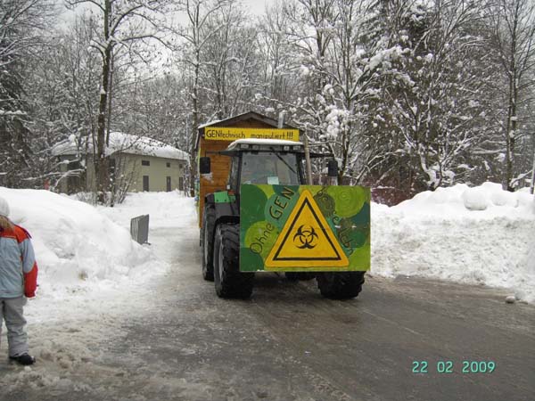 Faschingszug2009 055